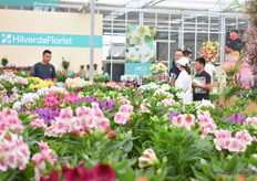 Bij HilverdaFlorist.